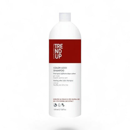 Șampon Profesional pentru Păr Vopsit 1000 ml | Color Lock – Fixare și Protecție Culoare profesional pentru păr – John Hair