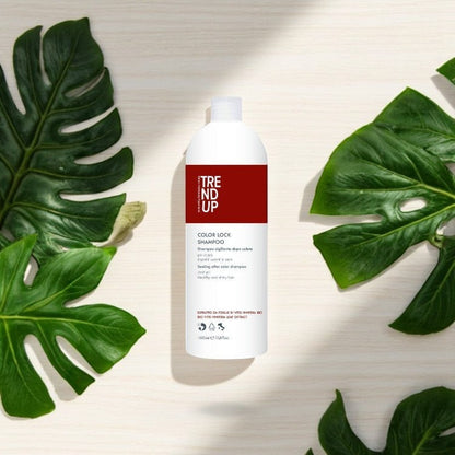 Șampon Profesional pentru Păr Vopsit 1000 ml | Color Lock – Fixare și Protecție Culoare profesional pentru păr – John Hair