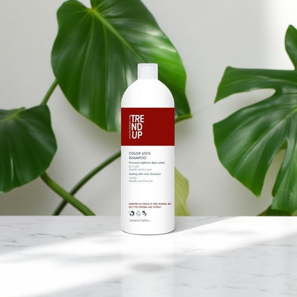 Șampon Profesional pentru Păr Vopsit 1000 ml | Color Lock – Fixare și Protecție Culoare profesional pentru păr – John Hair